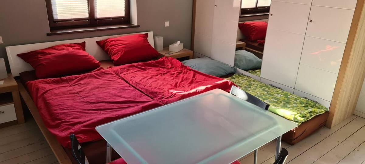 Private Room In Our Home With Free Vvo Ticket & Cats Pirna Zewnętrze zdjęcie