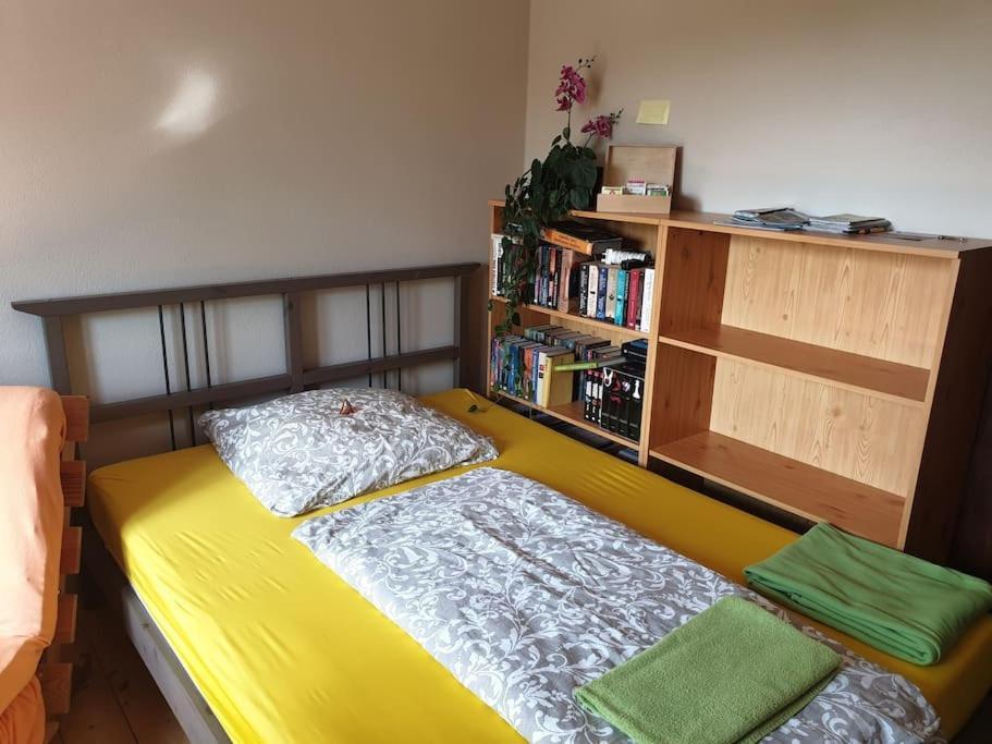 Private Room In Our Home With Free Vvo Ticket & Cats Pirna Zewnętrze zdjęcie