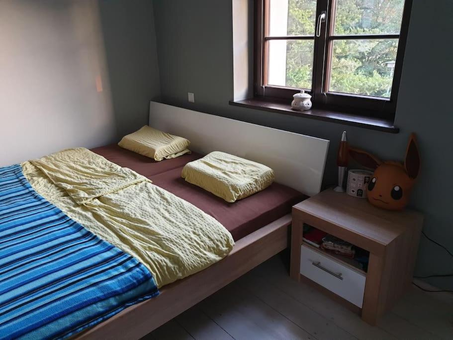 Private Room In Our Home With Free Vvo Ticket & Cats Pirna Zewnętrze zdjęcie