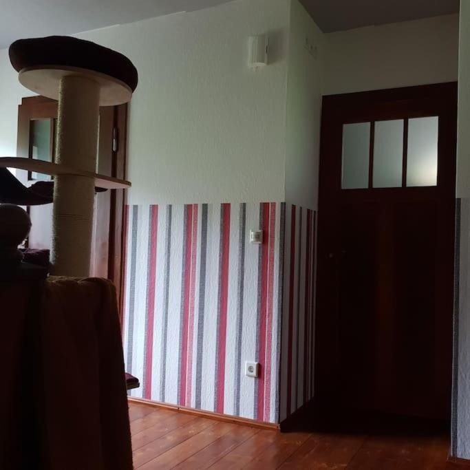 Private Room In Our Home With Free Vvo Ticket & Cats Pirna Zewnętrze zdjęcie