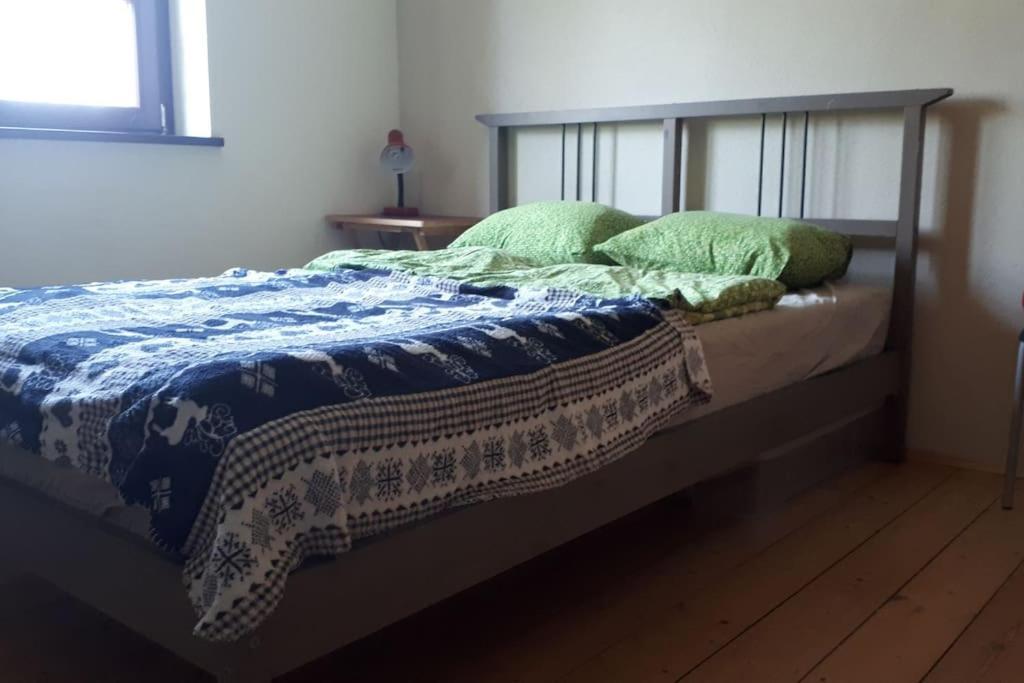 Private Room In Our Home With Free Vvo Ticket & Cats Pirna Zewnętrze zdjęcie
