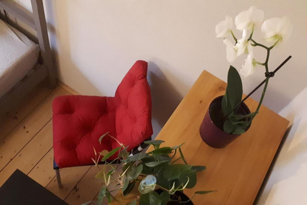 Private Room In Our Home With Free Vvo Ticket & Cats Pirna Zewnętrze zdjęcie